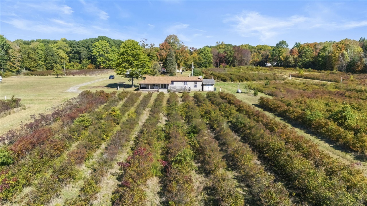 Homes for sale in New Buffalo, MI | 11160 Farina Rd, New Buffalo, MI 49117 | MLS# 70499073