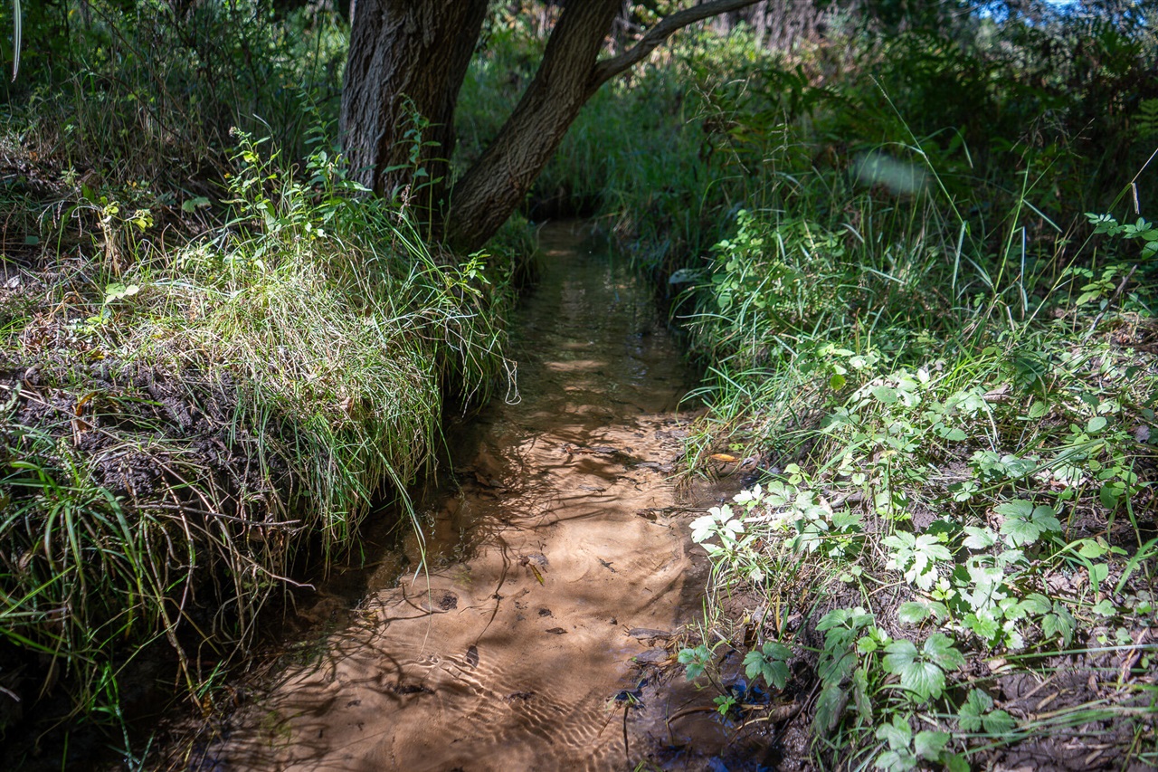 Homes for sale in Hart, MI | 862 N 128Th Ave, Hart, MI 49420 | MLS# 70499097