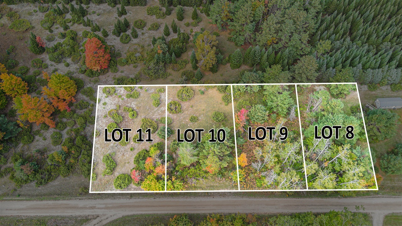 Homes for sale in Cheboygan, MI | V/l Trout Creek Rd, Cheboygan, MI 49721 | MLS# 70499173