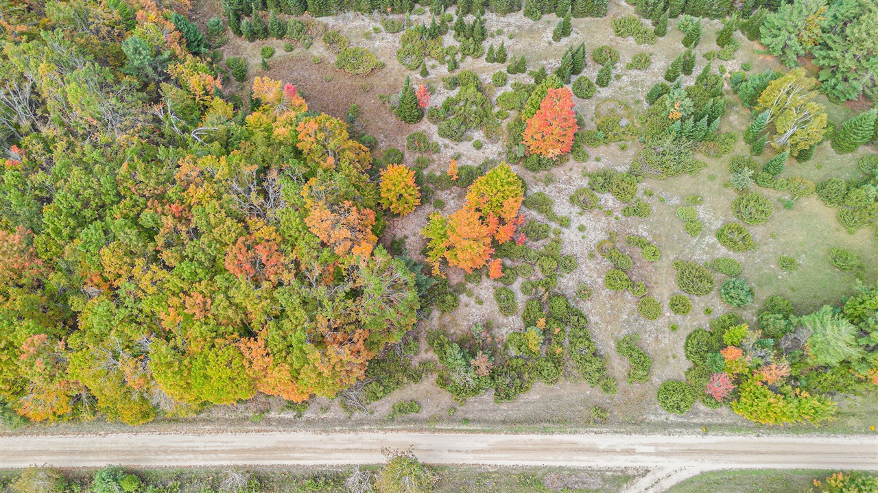 Homes for sale in Cheboygan, MI | V/L Trout Creek Rd, Cheboygan, MI 49721 | MLS# 70499173