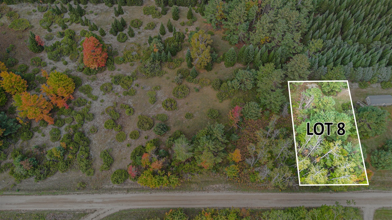 Homes for sale in Cheboygan, MI | V/L Trout Creek Rd, Cheboygan, MI 49721 | MLS# 70499173