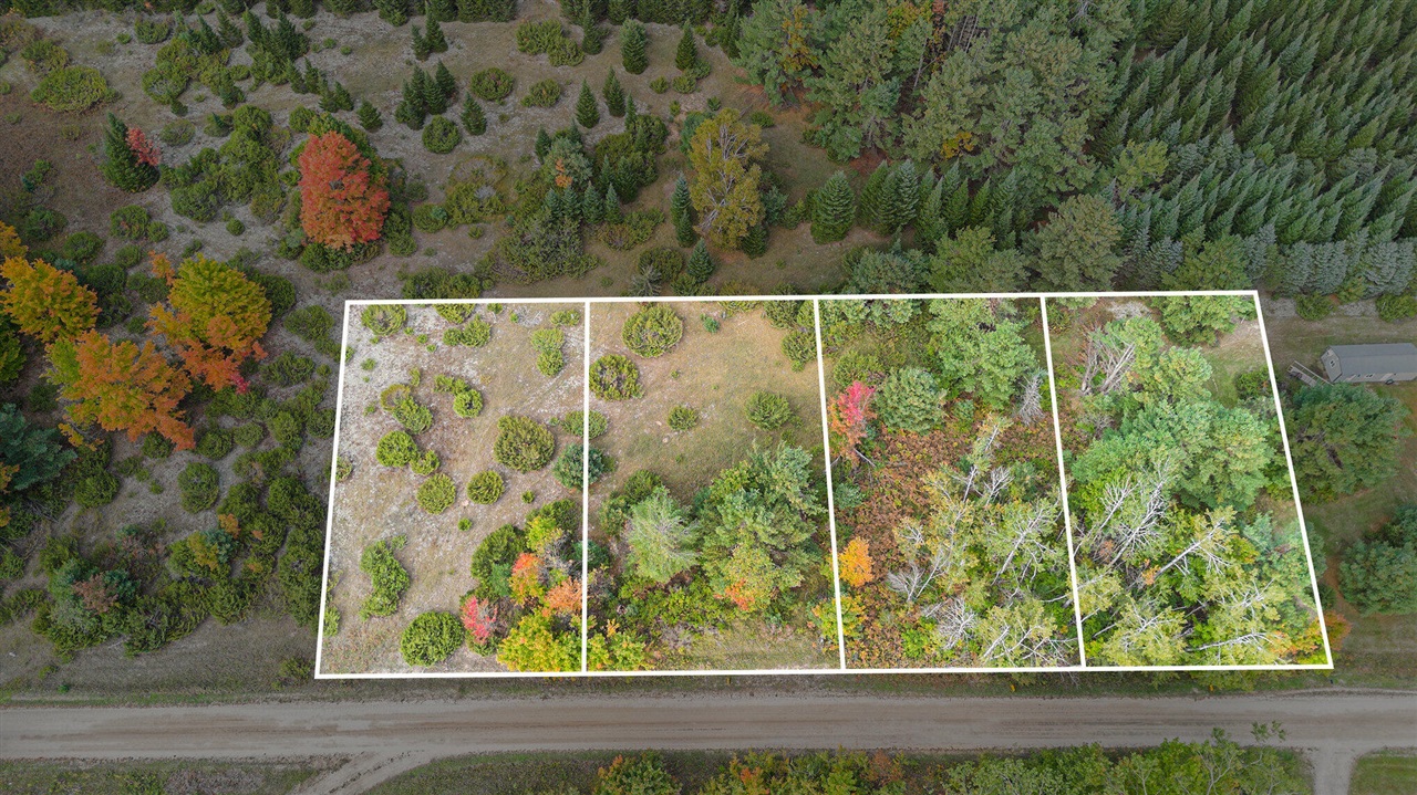 Homes for sale in Cheboygan, MI | V/l Trout Creek Rd, Cheboygan, MI 49721 | MLS# 70499173