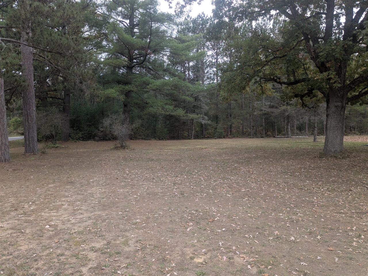 Homes for sale in Brethren, MI | 13798 Graf Rd, Brethren, MI 49619 | MLS# 70499231