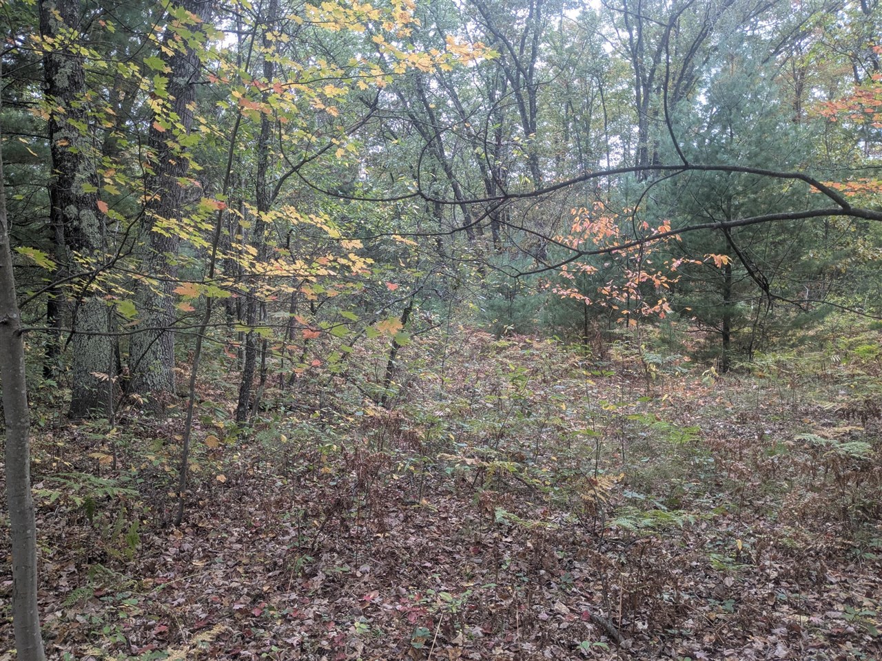 Homes for sale in Brethren, MI | 13798 Graf Rd, Brethren, MI 49619 | MLS# 70499231