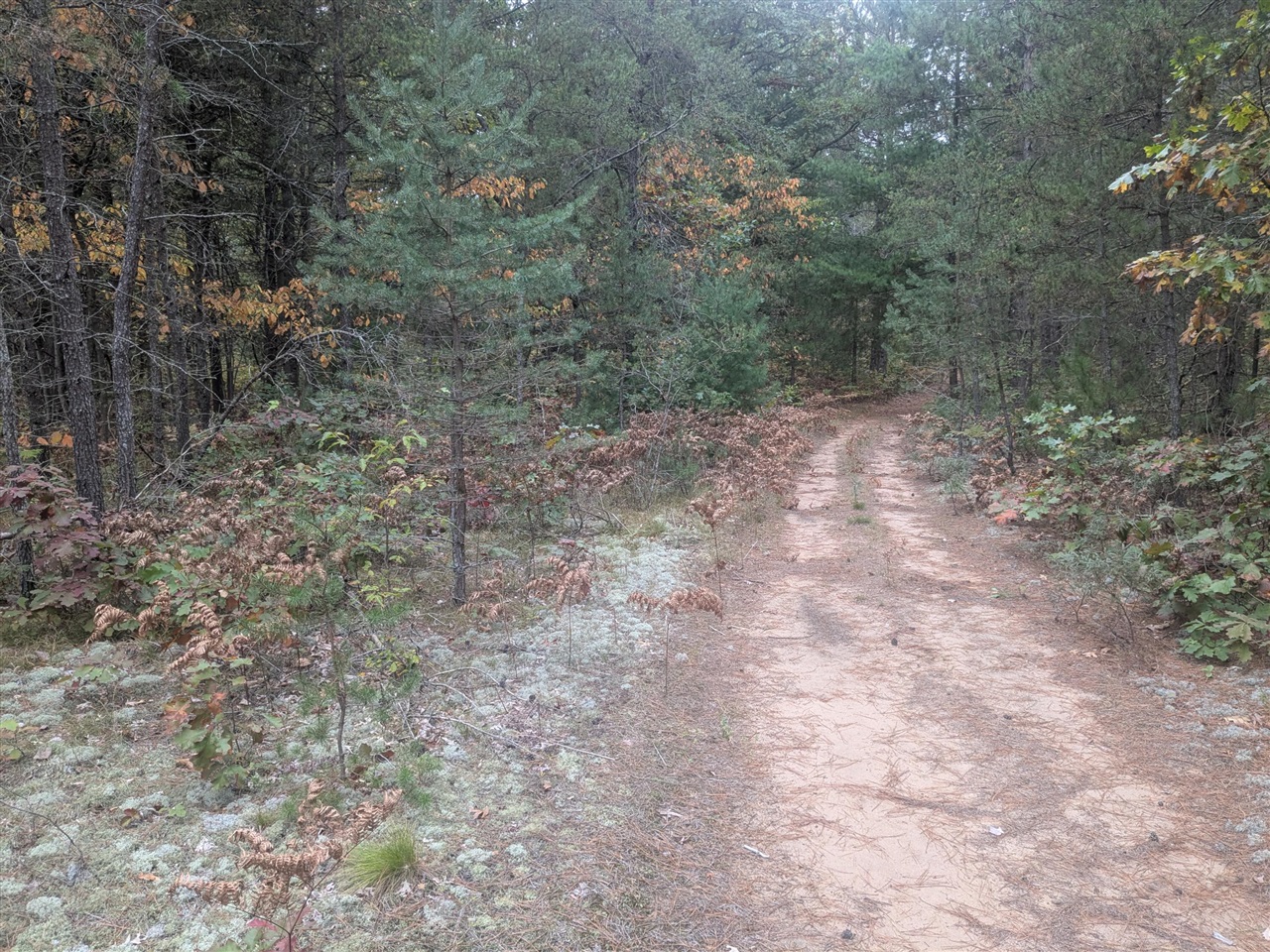 Homes for sale in Brethren, MI | 13798 Graf Rd, Brethren, MI 49619 | MLS# 70499231