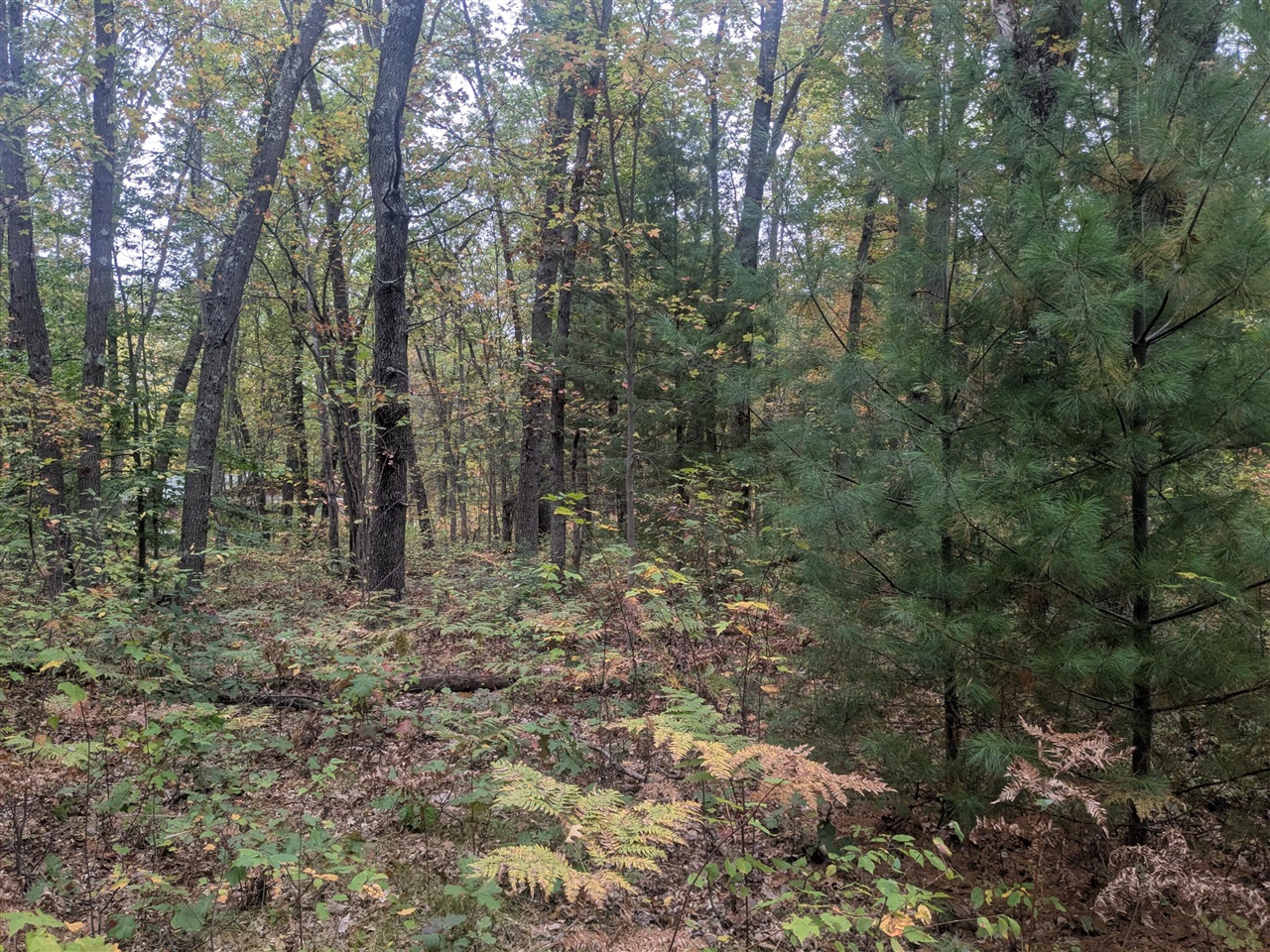 Homes for sale in Brethren, MI | 13798 Graf Rd, Brethren, MI 49619 | MLS# 70499231