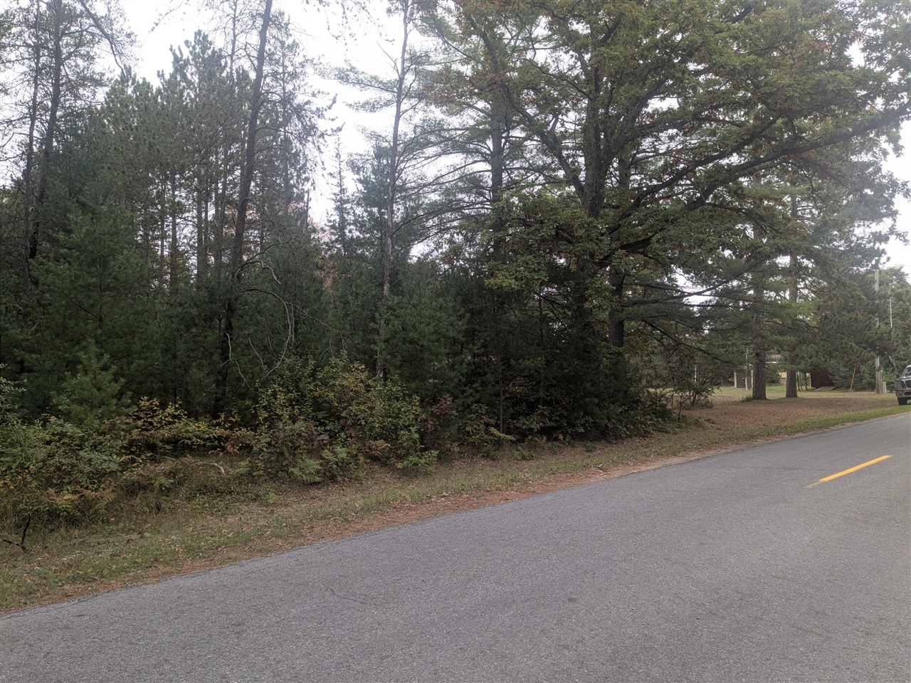 Homes for sale in Brethren, MI | 13798 Graf Rd, Brethren, MI 49619 | MLS# 70499231