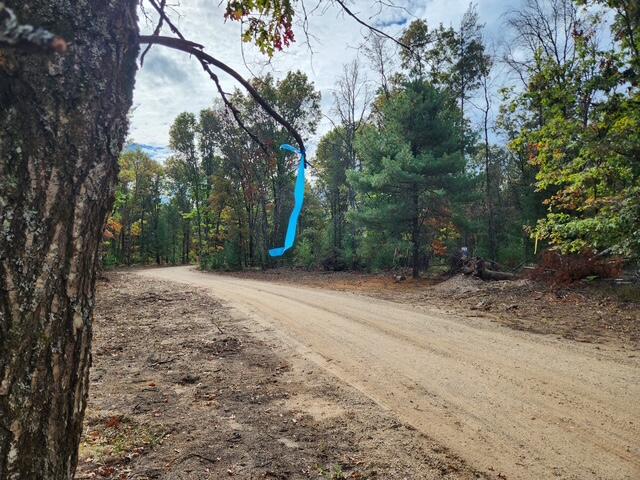 Homes for sale in Baldwin, MI | Parcel E Tatanka Trail, Baldwin, MI 49304 | MLS# 70499320