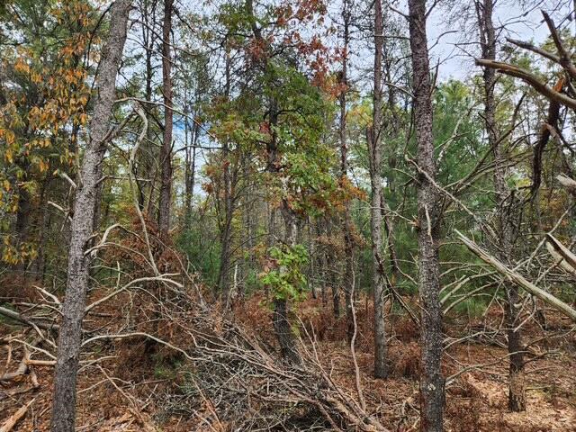 Homes for sale in Baldwin, MI | Parcel L Tatanka Trail, Baldwin, MI 49304 | MLS# 70499342