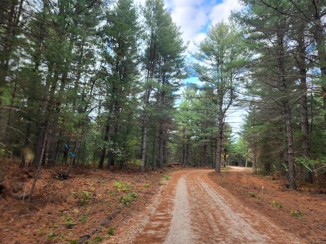 Homes for sale in Baldwin, MI | Parcel S 12th Street, Baldwin, MI 49304 | MLS# 70499353