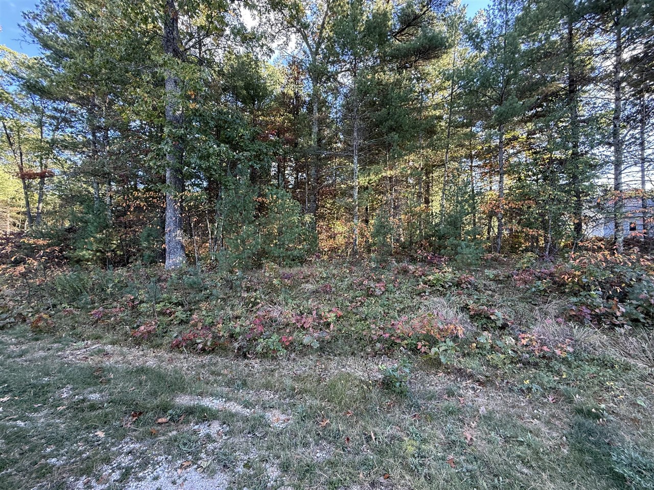 Homes for sale in Whitehall, MI | 1127 Chicago Dr, Whitehall, MI 49461 | MLS# 70499551