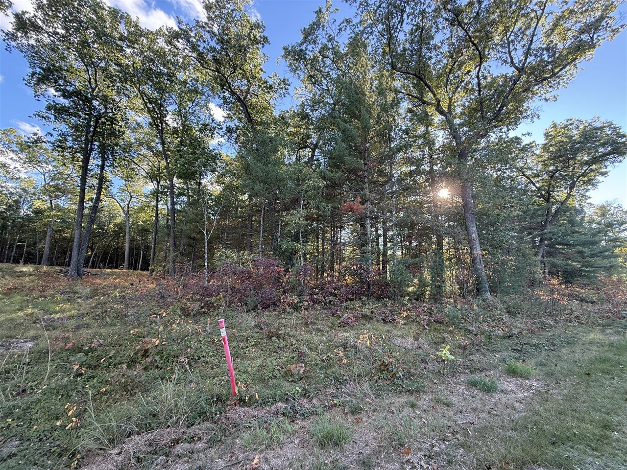 Homes for sale in Whitehall, MI | 1127 Chicago Dr, Whitehall, MI 49461 | MLS# 70499551