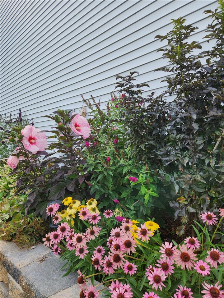 Homes for sale in Galesburg, MI | 147 Station Hill St, Galesburg, MI 49053 | MLS# 70499639