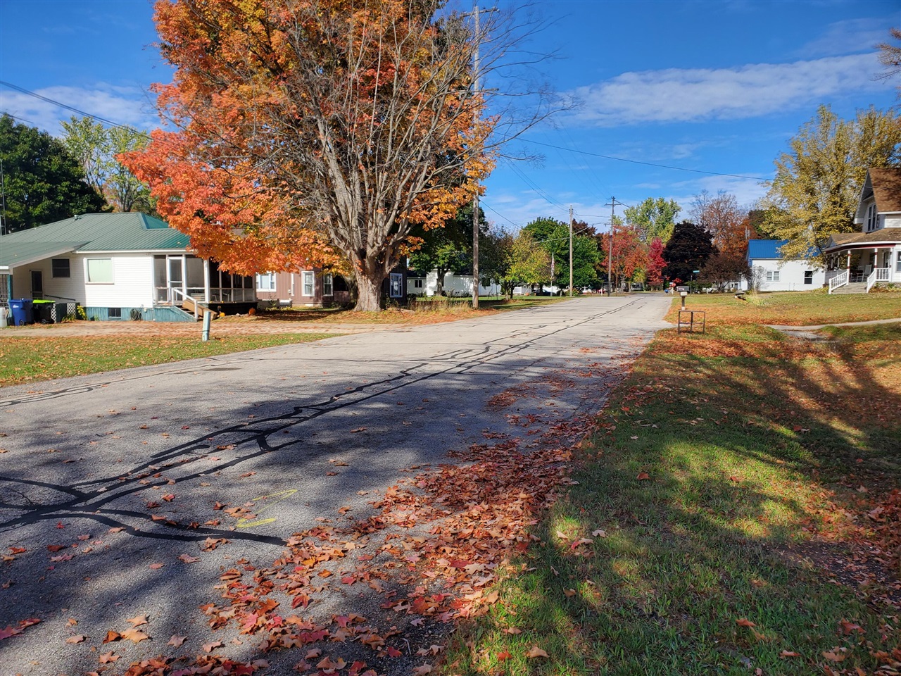 Homes for sale in Marion, MI | 306 N Carland St, Marion, MI 49665 | MLS# 70499845
