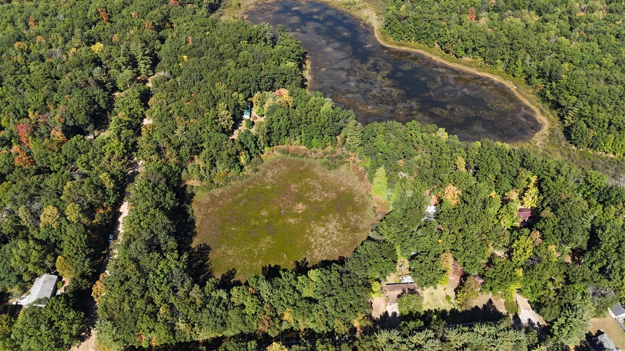 Homes for sale in Wellston, MI | Lots 1-9 Cranberry St, Wellston, MI 49689 | MLS# 70499982