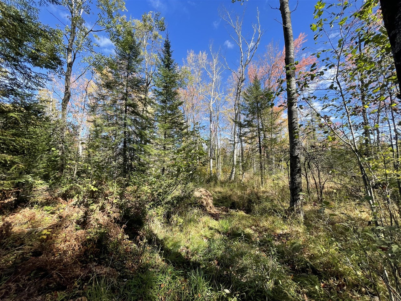 Homes for sale in Marion, MI | 19396 70th Ave, Marion, MI 49665 | MLS# 70500091