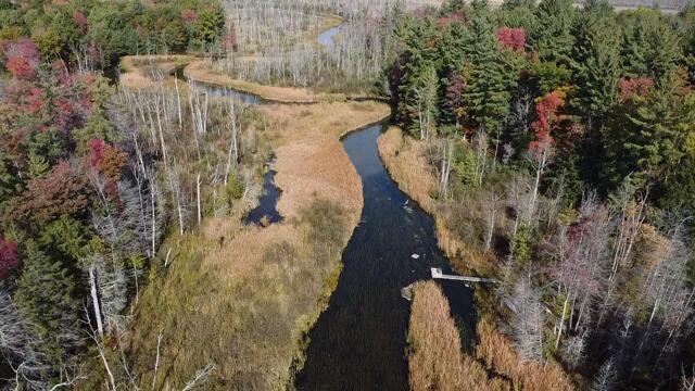 Homes for sale in Branch, MI | 5683 Tyndal Rd, Branch, MI 49402 | MLS# 70500164