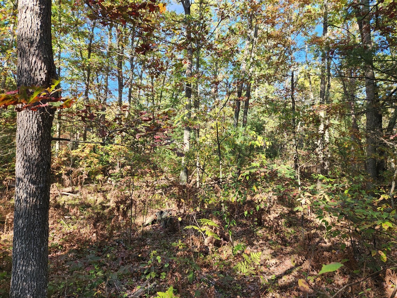 Homes for sale in Wellston, MI | 259 S Baker Rd, Wellston, MI 49689 | MLS# 70500344