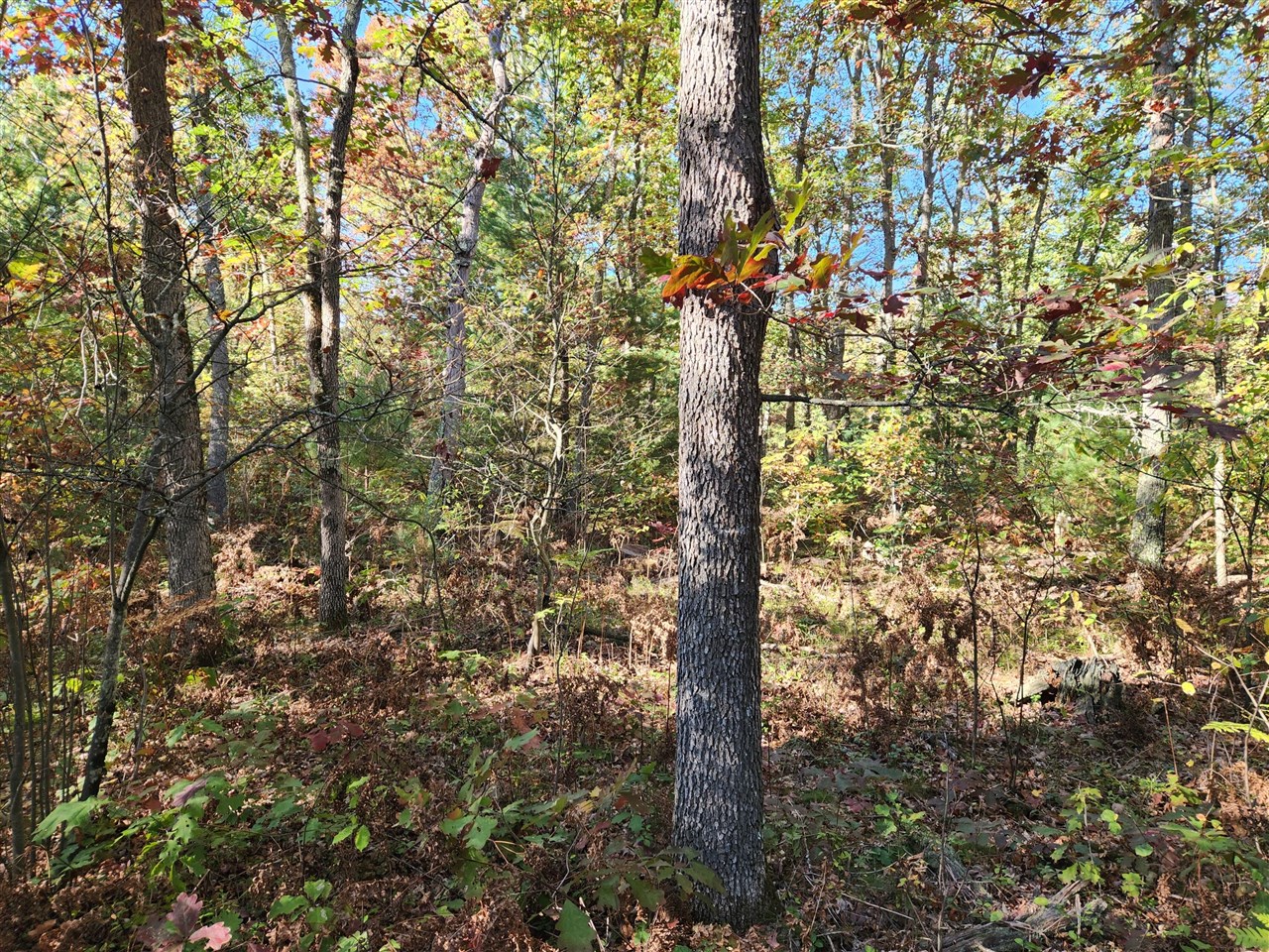 Homes for sale in Wellston, MI | 259 S Baker Rd, Wellston, MI 49689 | MLS# 70500344