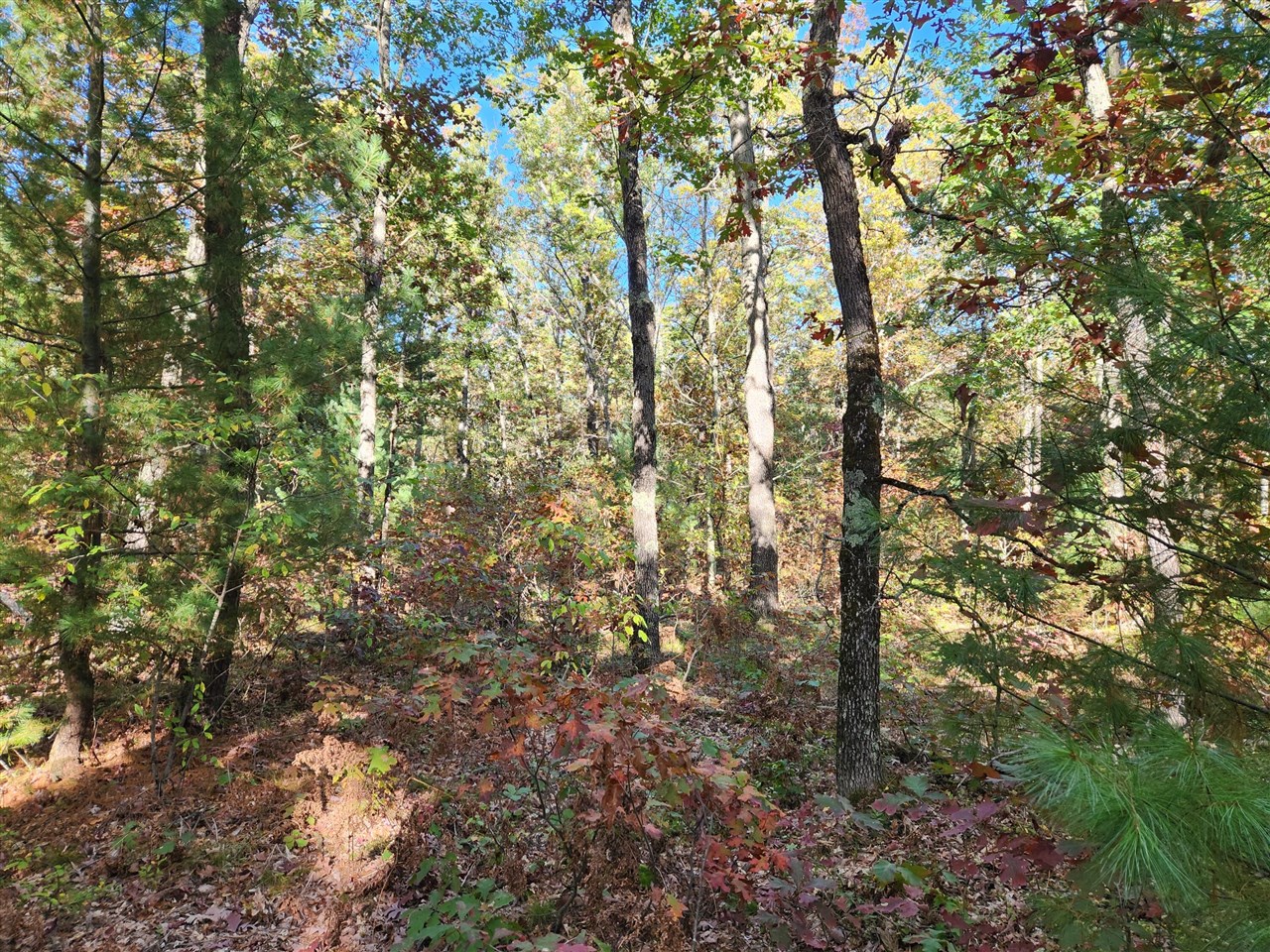 Homes for sale in Wellston, MI | 259 S Baker Rd, Wellston, MI 49689 | MLS# 70500344