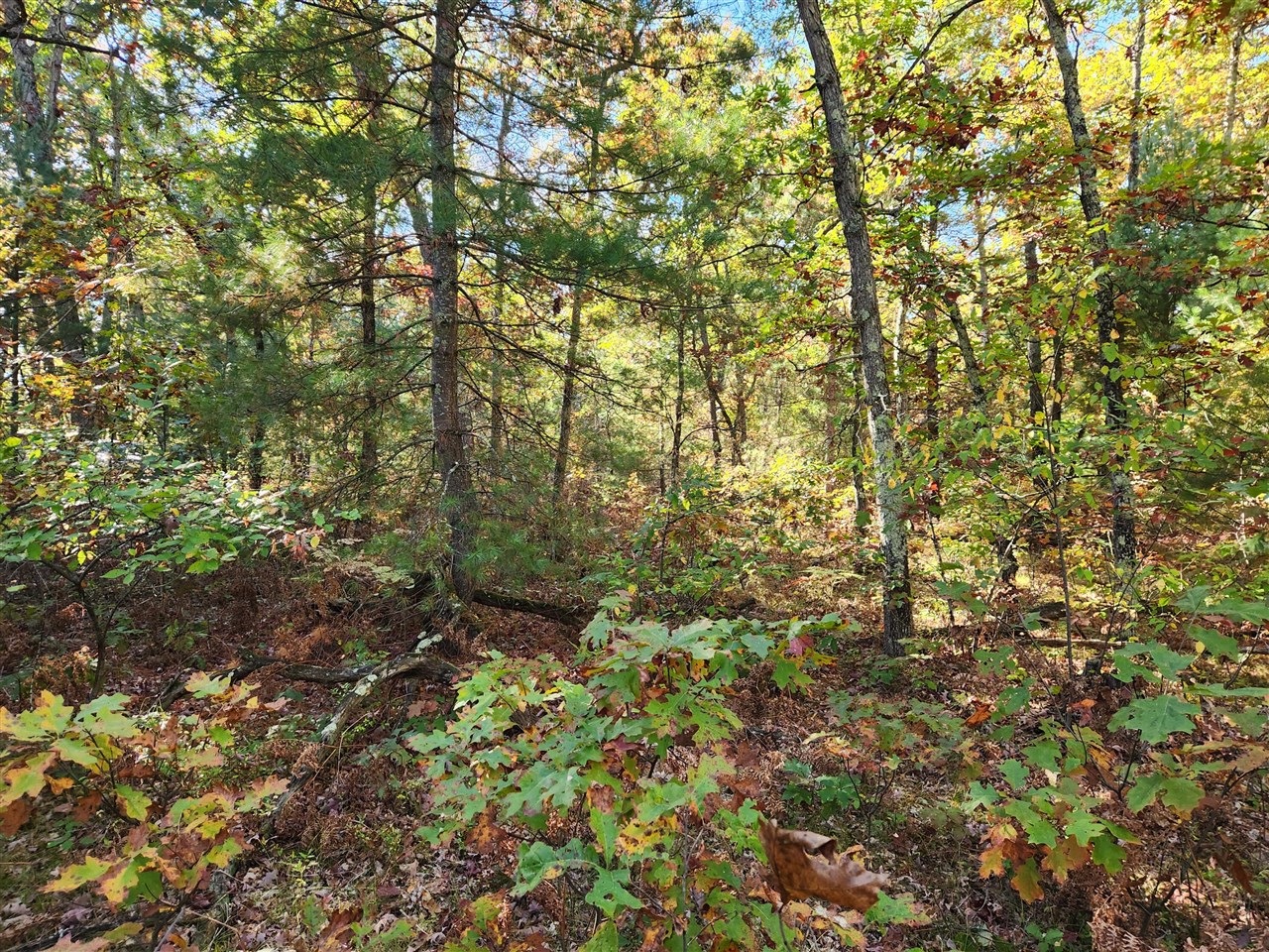 Homes for sale in Wellston, MI | 259 S Baker Rd, Wellston, MI 49689 | MLS# 70500344