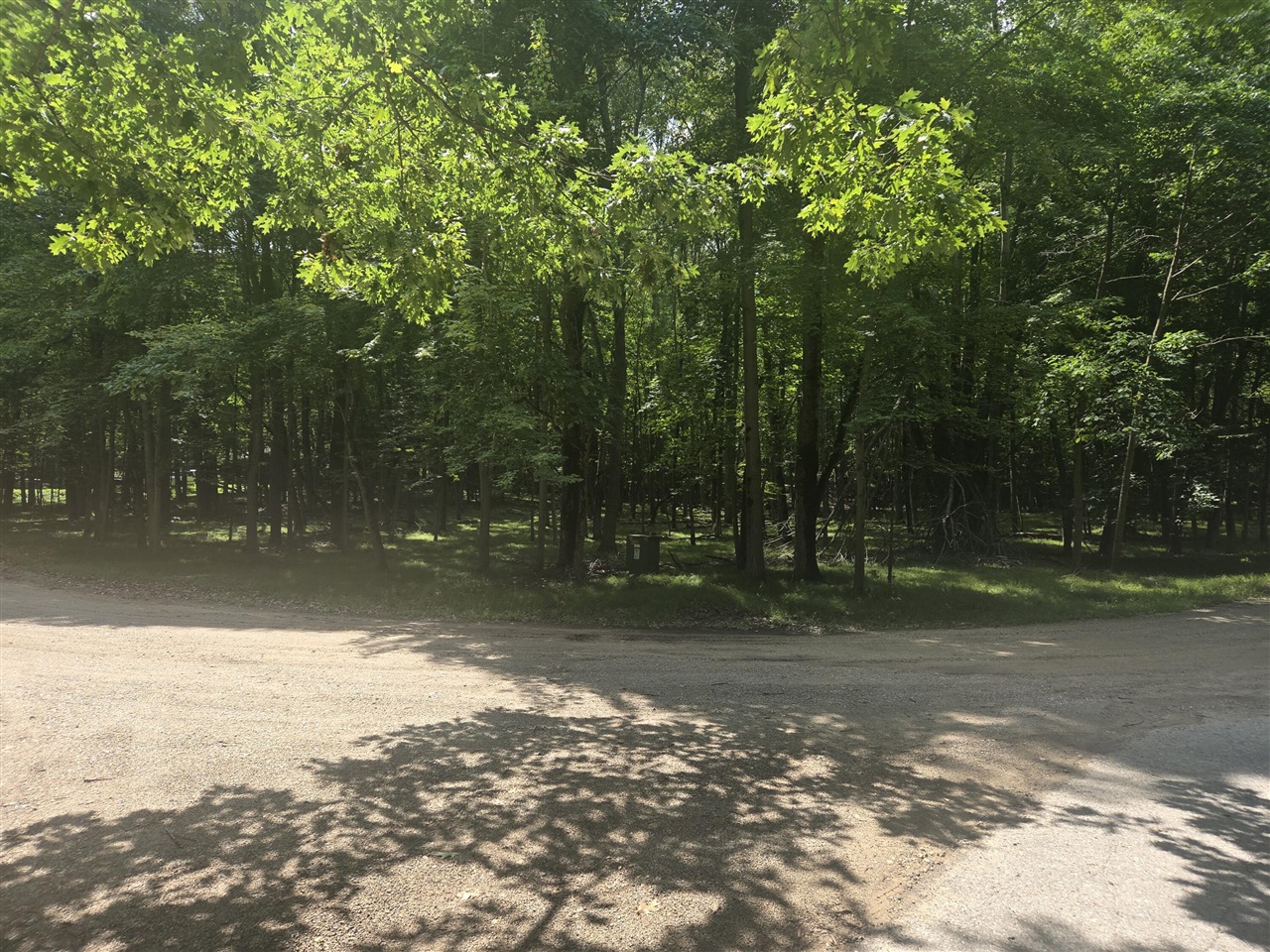 Homes for sale in Canadian Lakes, MI | 12121 Trail Creek, Canadian Lakes, MI 49346 | MLS# 70500437