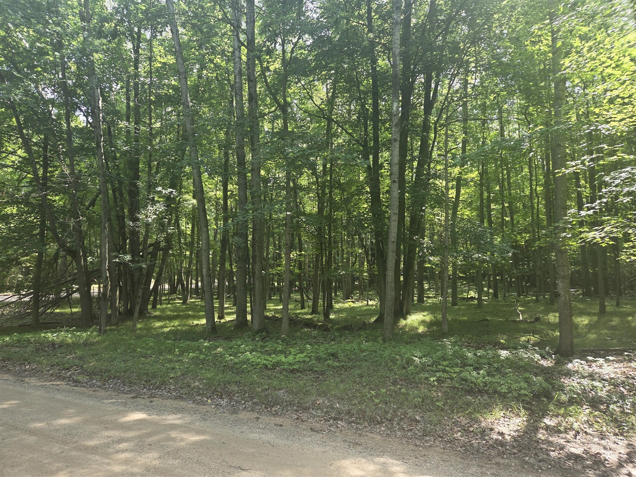 Homes for sale in Canadian Lakes, MI | 12121 Trail Creek, Canadian Lakes, MI 49346 | MLS# 70500437