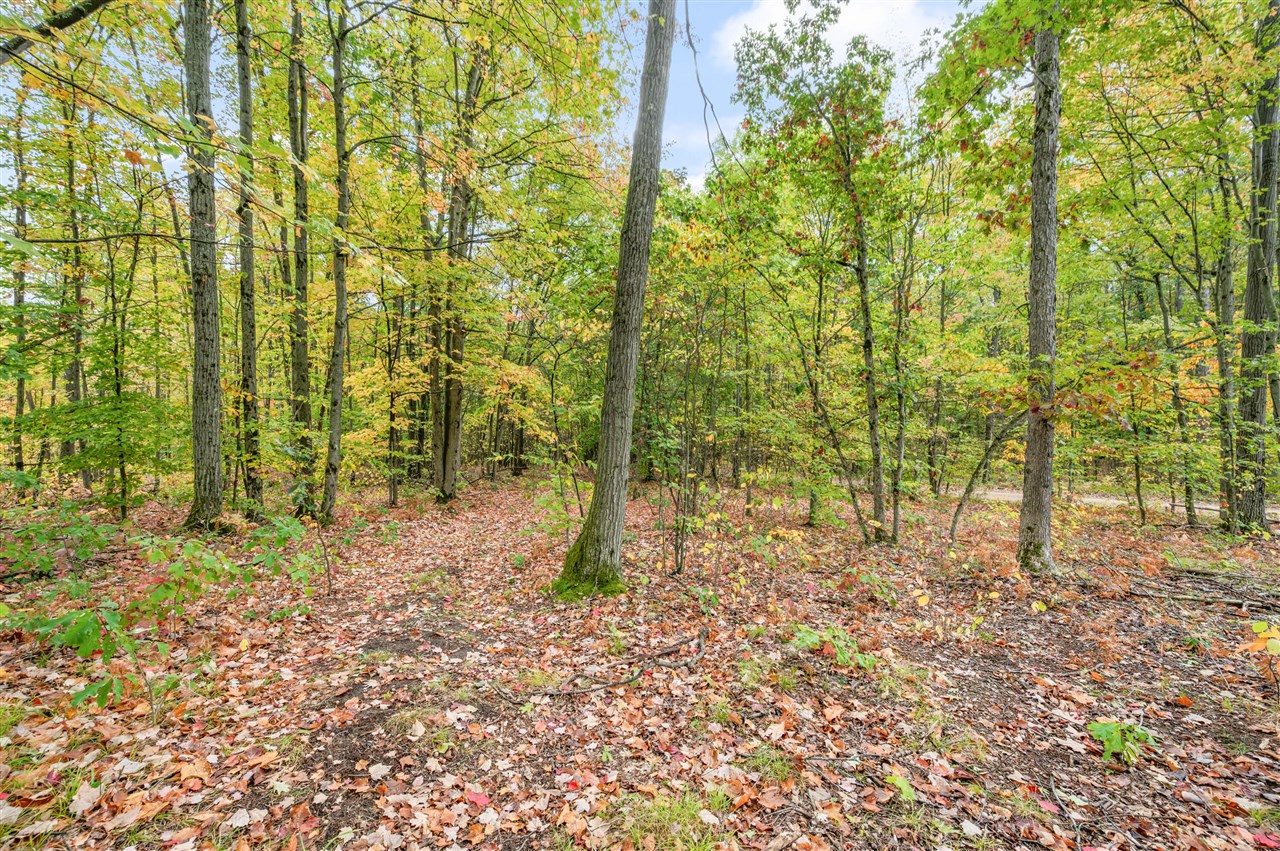 Homes for sale in Evart, MI | V/l 05 8 Mile Rd, Evart, MI 49631 | MLS# 70500471