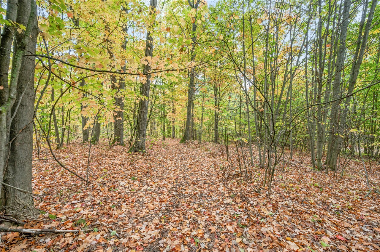 Homes for sale in Evart, MI | V/L 05 8 Mile Rd, Evart, MI 49631 | MLS# 70500471