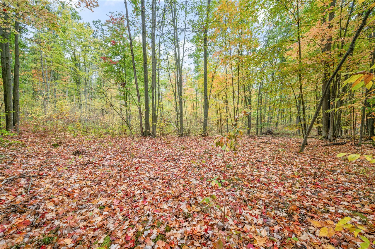 Homes for sale in Evart, MI | V/L 05 8 Mile Rd, Evart, MI 49631 | MLS# 70500471