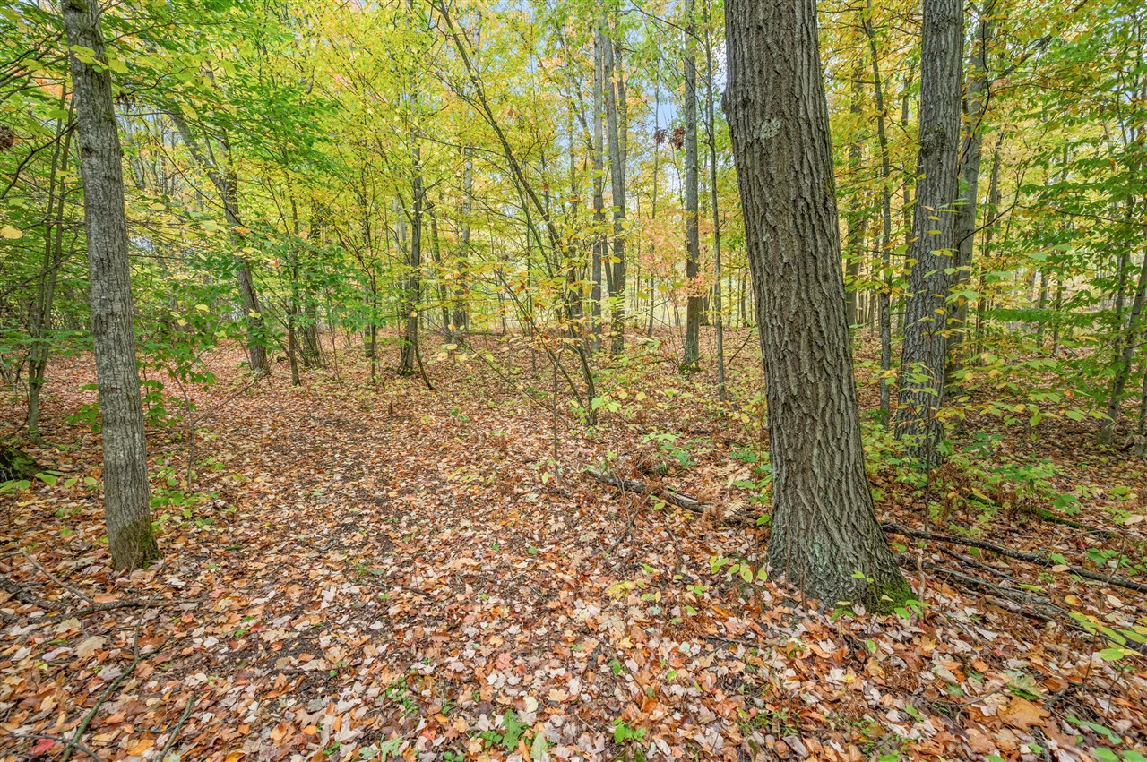 Homes for sale in Evart, MI | V/L 05 8 Mile Rd, Evart, MI 49631 | MLS# 70500471