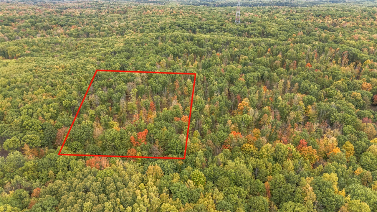 Homes for sale in Evart, MI | V/l 05 8 Mile Rd, Evart, MI 49631 | MLS# 70500471