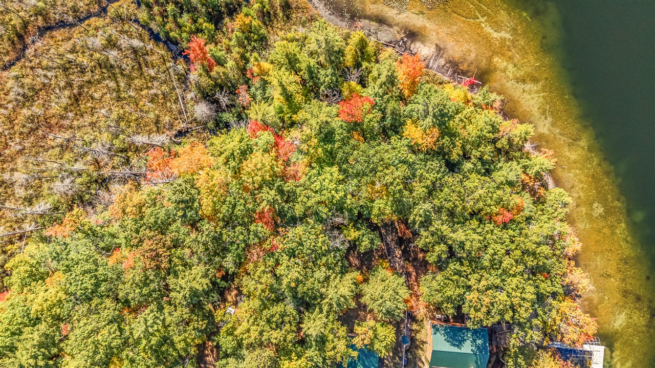 Homes for sale in Bitely, MI | V/l Lots 26 & 27 Irving Ave, Bitely, MI 49309 | MLS# 70500472