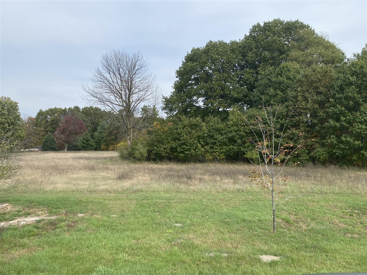 Homes for sale in Coopersville, MI | 8517 Leonard St, Coopersville, MI 49404 | MLS# 70500495