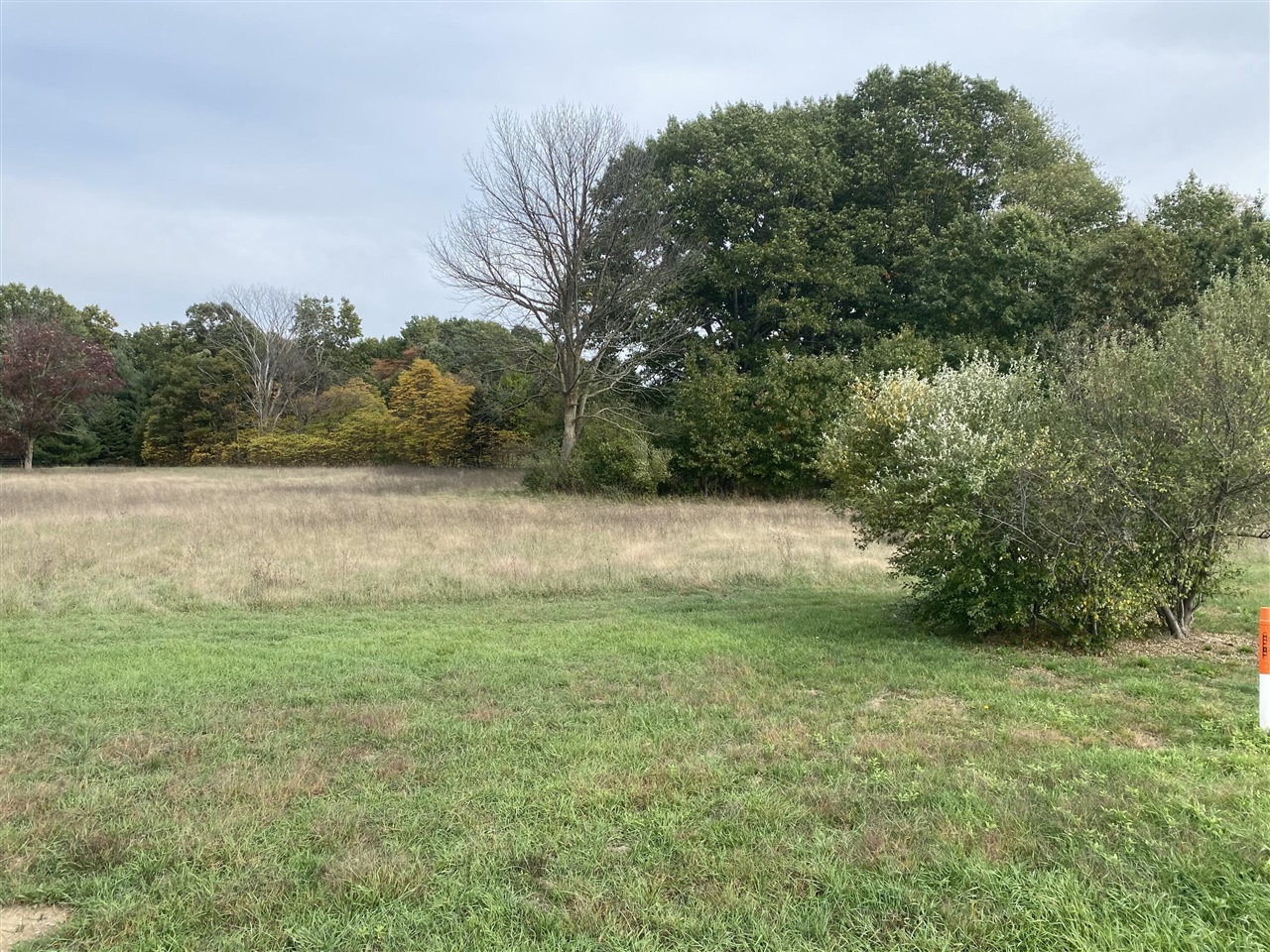 Homes for sale in Coopersville, MI | 8517 Leonard St, Coopersville, MI 49404 | MLS# 70500495