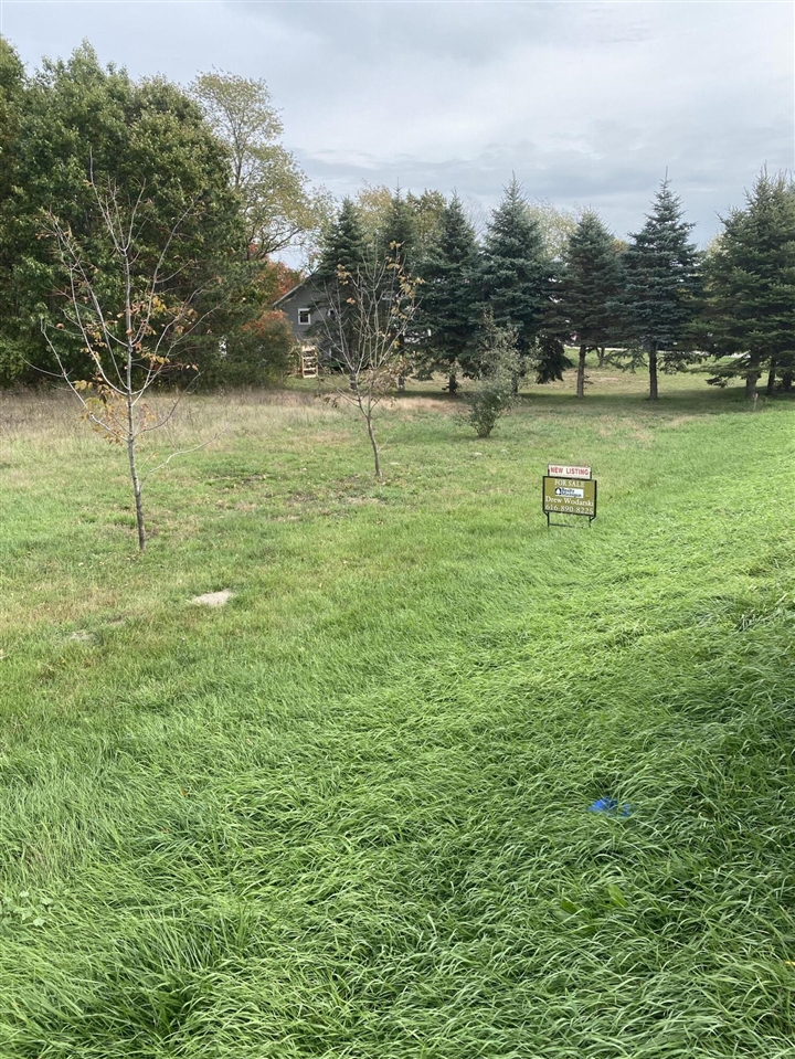 Homes for sale in Coopersville, MI | 8517 Leonard St, Coopersville, MI 49404 | MLS# 70500495