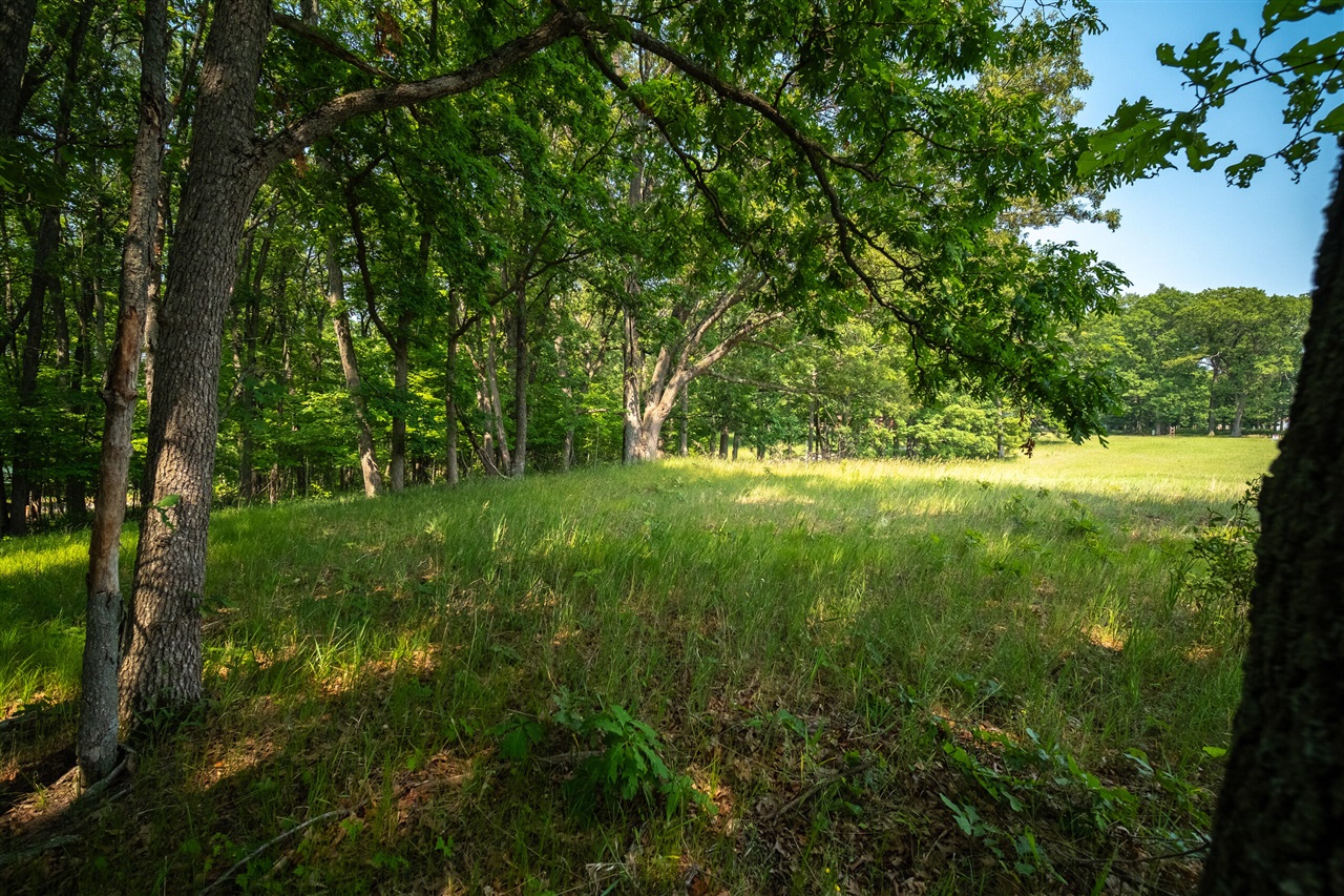 Homes for sale in Irons, MI | 8161 Hunters Ridge Dr, Irons, MI 49644 | MLS# 70500572