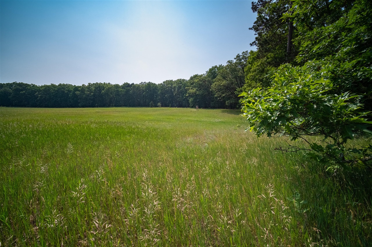 Homes for sale in Irons, MI | 8161 Hunters Ridge Dr, Irons, MI 49644 | MLS# 70500572