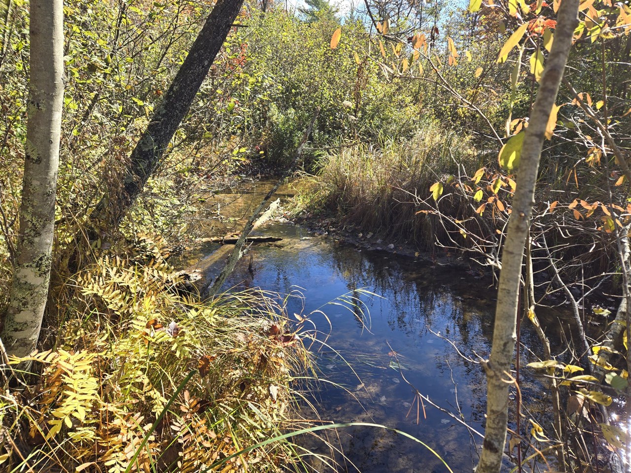 Homes for sale in Bitely, MI | 00 W Coolidge, Bitely, MI 49309 | MLS# 70500621