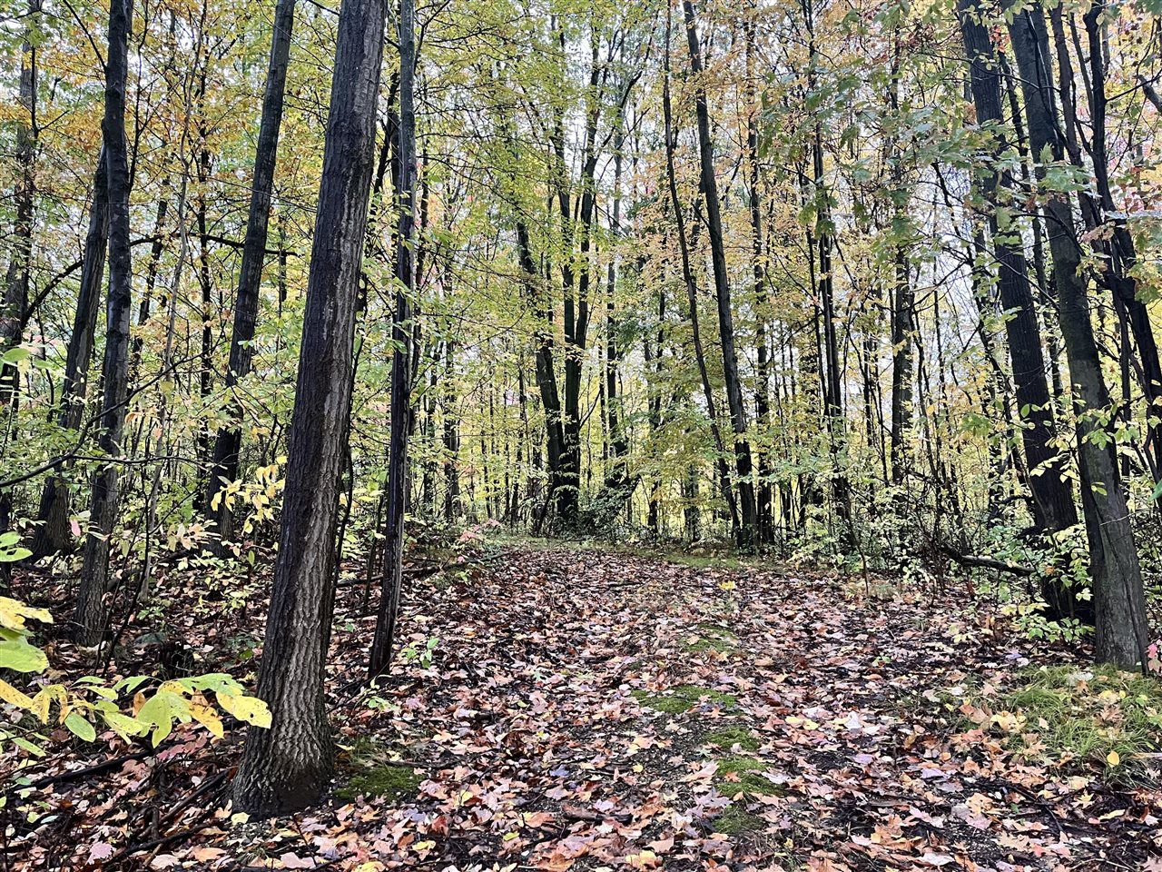 Homes for sale in Sand Lake, MI | 6477 E 128th St, Sand Lake, MI 49343 | MLS# 70500915