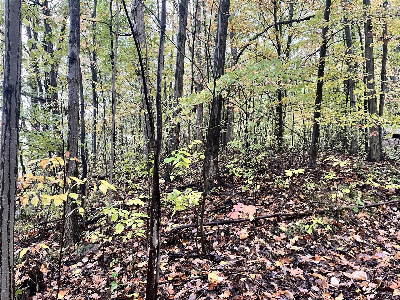 Homes for sale in Sand Lake, MI | 6477 E 128Th St, Sand Lake, MI 49343 | MLS# 70500915