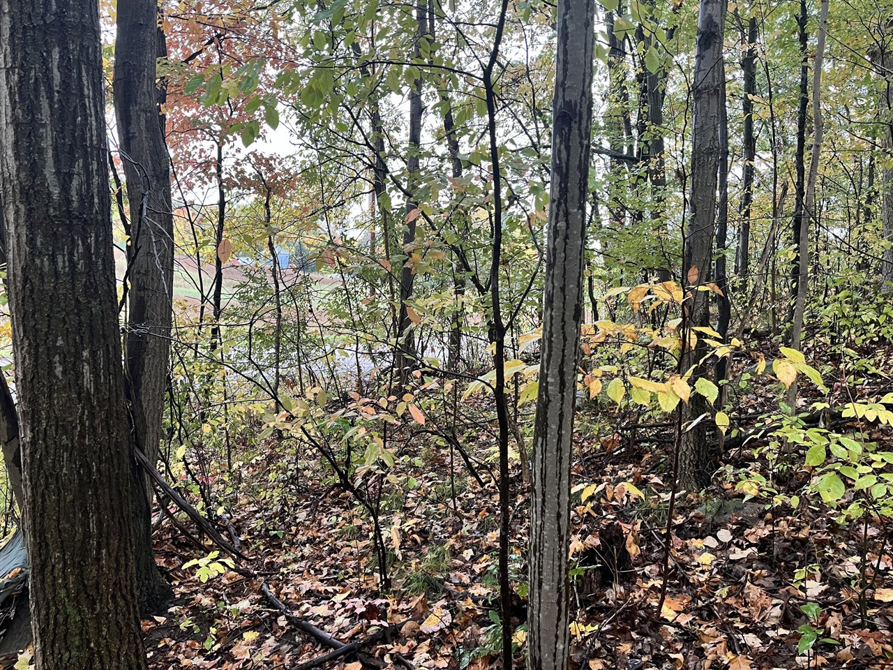 Homes for sale in Sand Lake, MI | 6477 E 128Th St, Sand Lake, MI 49343 | MLS# 70500915