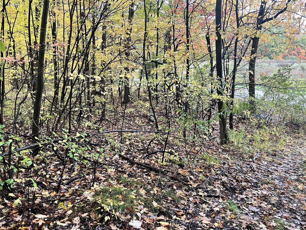 Homes for sale in Sand Lake, MI | 6477 E 128th St, Sand Lake, MI 49343 | MLS# 70500915