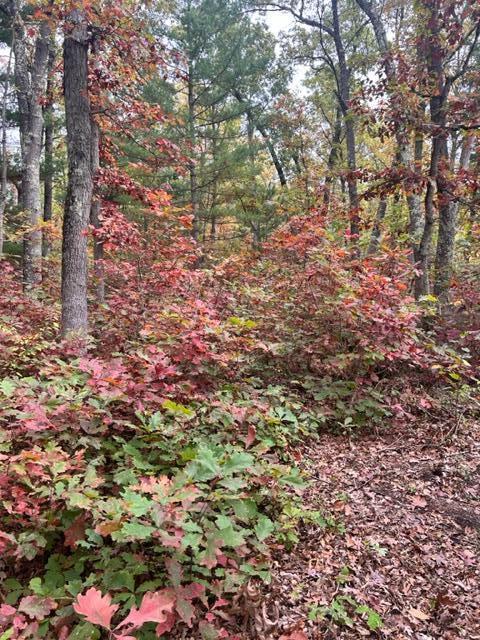 Homes for sale in Brethren, MI | 3292 Skidmore Rd, Brethren, MI 49619 | MLS# 70500936