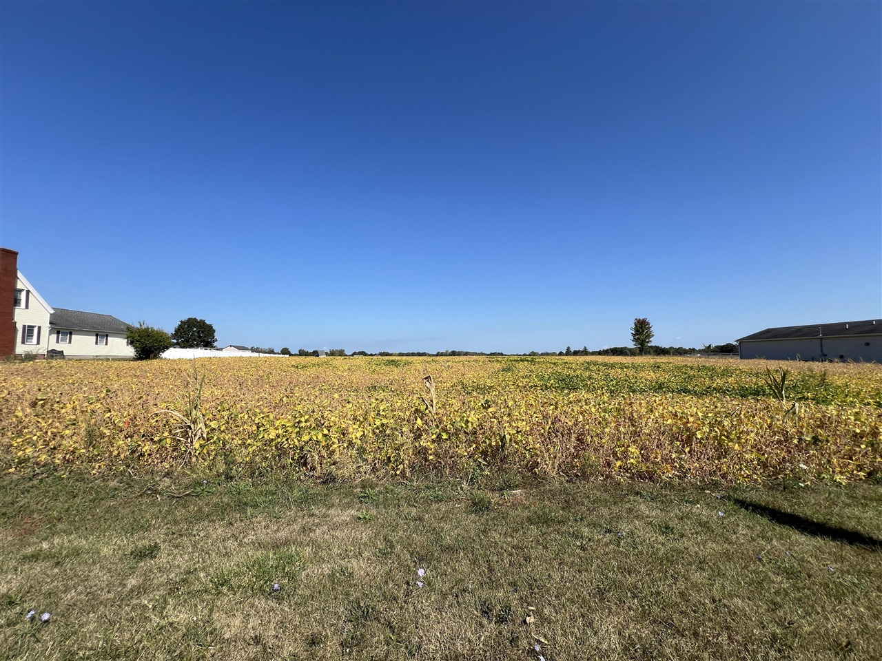 Homes for sale in Adrian, MI | 2000 W Beecher St, Adrian, MI 49221 | MLS# 70500972