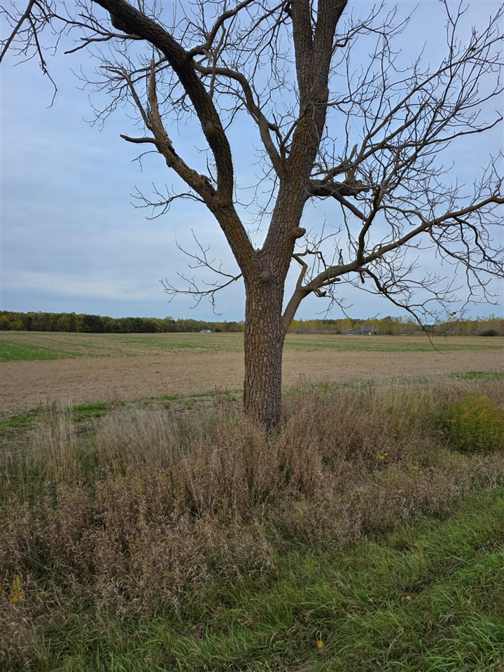 Homes for sale in Laingsburg, MI | Parcel 2 Alward Rd, Laingsburg, MI 48848 | MLS# 70501081