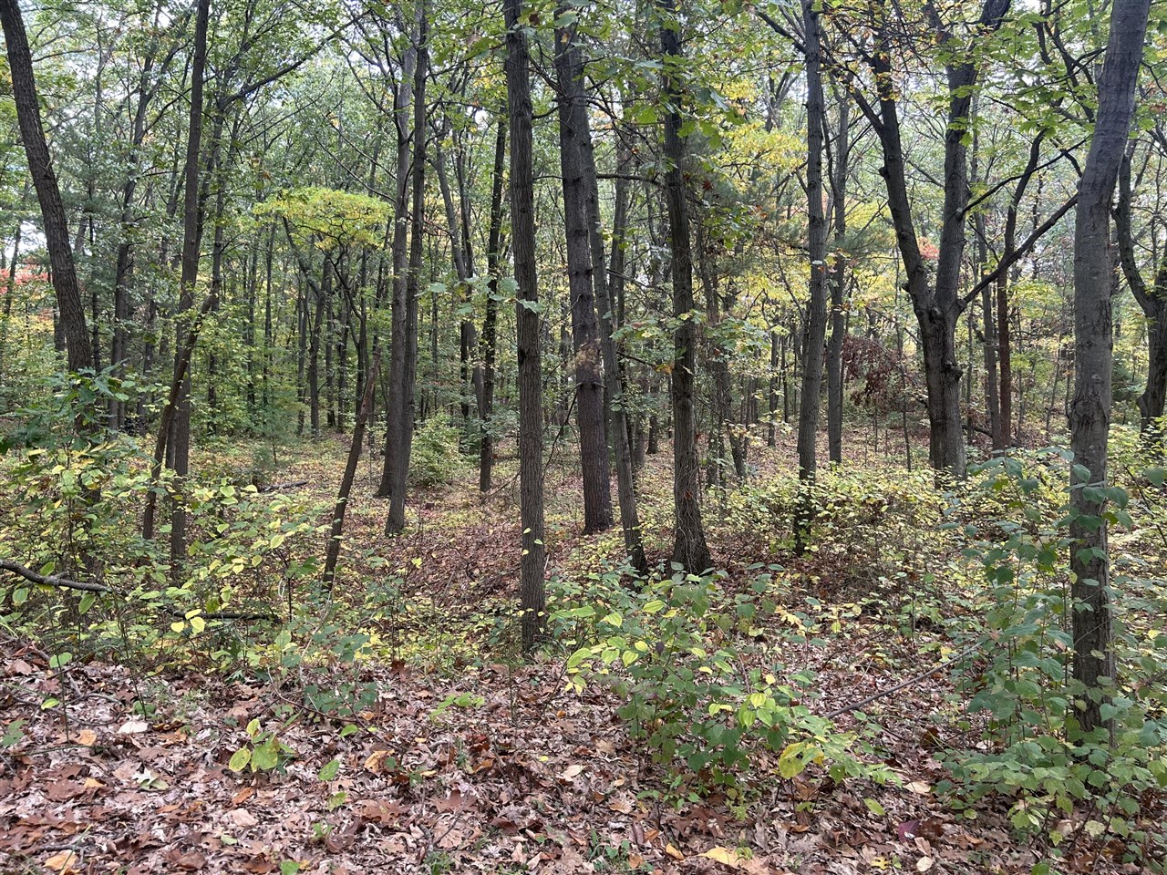 Homes for sale in Coloma, MI | 4051 Highview Path, Coloma, MI 49038 | MLS# 70501104