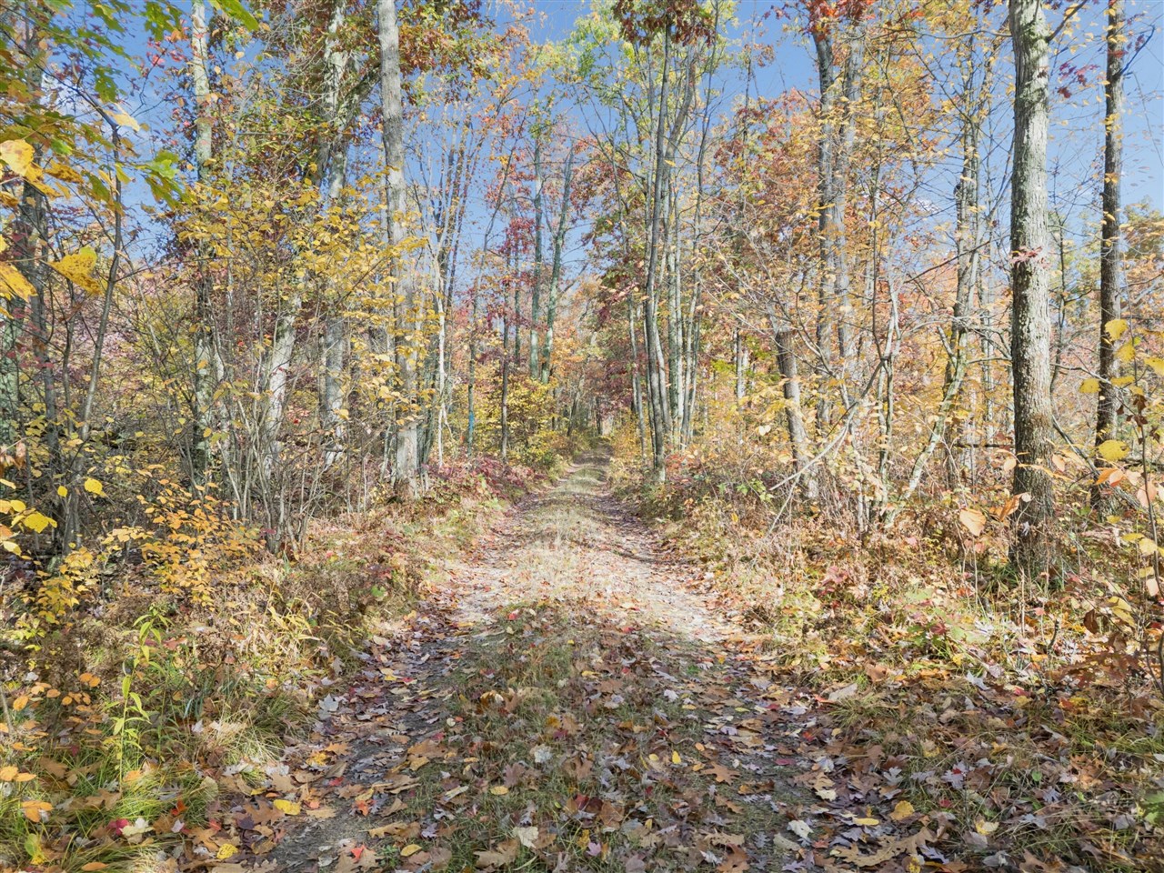 Homes for sale in White Cloud, MI | N Centerline Rd, White Cloud, MI 49349 | MLS# 70501118