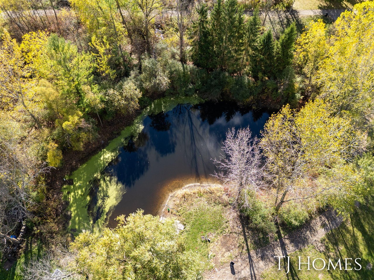 Homes for sale in Caledonia, MI | 2861 84Th St, Caledonia, MI 49316 | MLS# 70501435