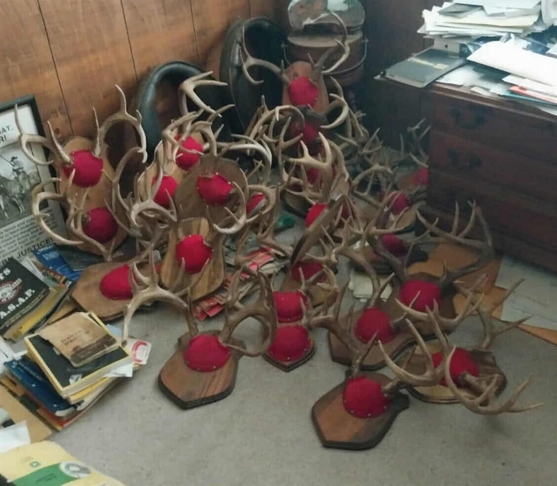 Homes for sale in Hubbard Lake, MI | 7767 W Richie Rd Rd, Hubbard Lake, MI 49747 | MLS# 70501545